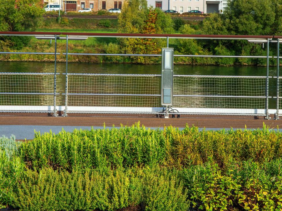 Sun Deck Herb Garden