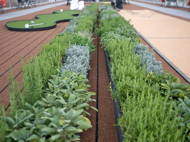 Viking Honir - Herb Garden