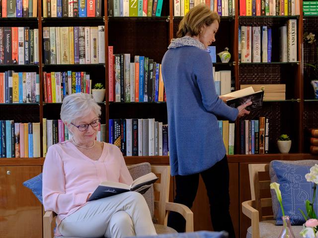 Viking Fulla  - Library
