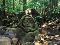 Amanu, French Polynesia