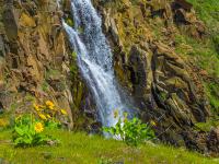 Columbia Hills Historical State Park, United States