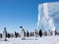Coulman Island, Antarctica