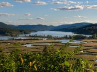 Constitution Marsh, United States