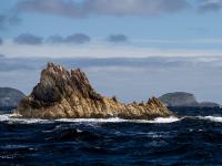 Port Davey, Tasmania, Australia, Australia