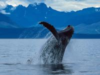 Krestof Sound, Alaska, United States