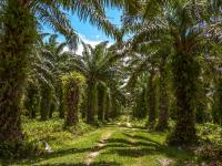 Toamasina, Madagascar