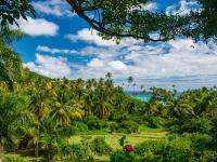 Mount Wynne, St. Vincent, Saint Vincent and the Grenadines, Saint Vincent and the Grenadines