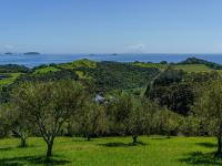 Waiheke Island, New Zealand