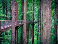 Eureka, United States