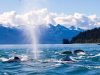 Icy Strait Point, Alaska, United States