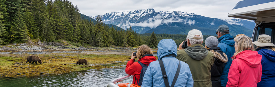 Alaska cruise travelers watch brown bears along a remote wilderness shoreline during a guided bear-viewing excursion.