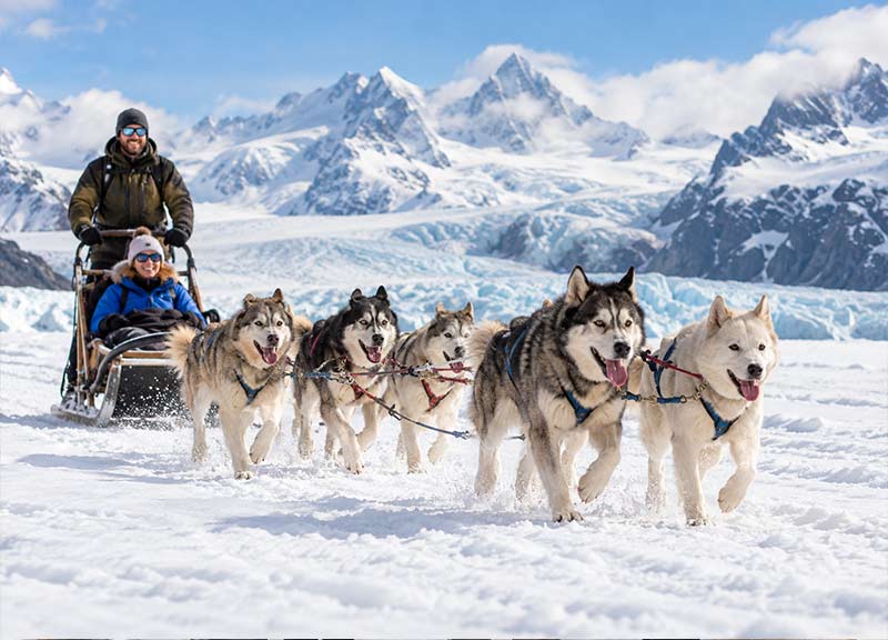 Dog sledding in Alaska
