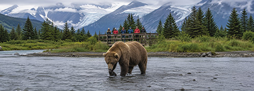 Alaska bear-viewing tour guests observe a brown bear from a protected platform beside a scenic river surrounded by evergreen forest and glacier-covered mountains.