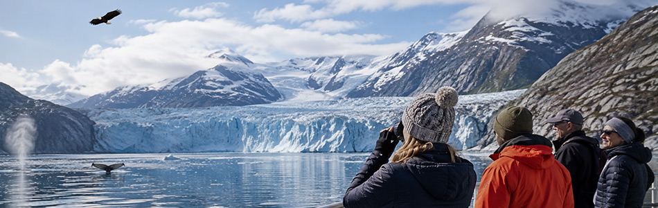 Alaska cruise travelers view a glacier, whale, and bald eagle during a scenic wildlife excursion.