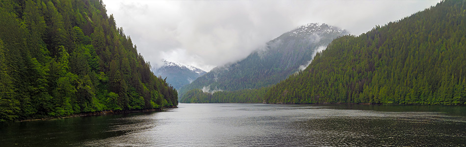 Misty Fjords National Monument with fog-covered mountains and evergreen shoreline near Ketchikan, Alaska.