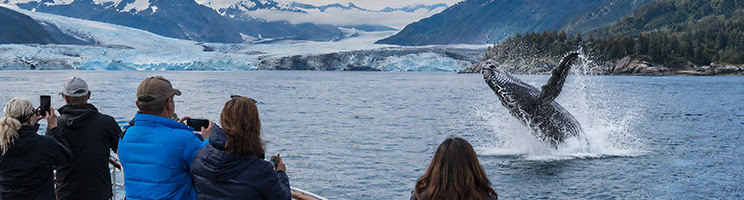 Best Alaska Cruises for Whale Watching