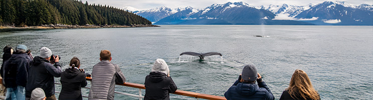 Cruise passengers watch a humpback whale dive beneath Alaska&rsquo;s coastal mountains.