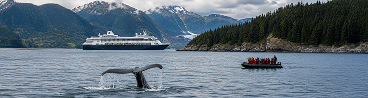 Humpback whale tail near an Alaska cruise ship and small-boat wildlife excursion.