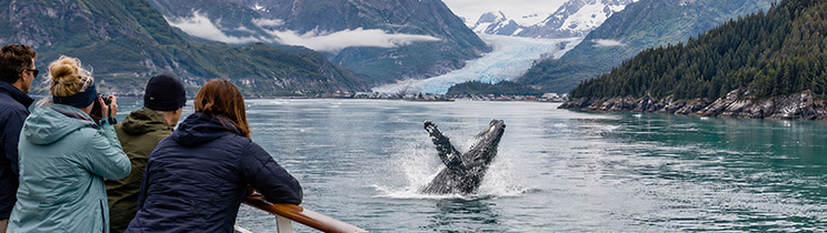 Alaska cruise travelers watch a humpback whale breach in a glacier-lined coastal fjord. Alaska cruise travelers watch a humpback whale breach in a glacier-lined coastal fjord.