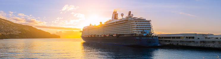 Best Cruise Lines for Every Type of Traveler 