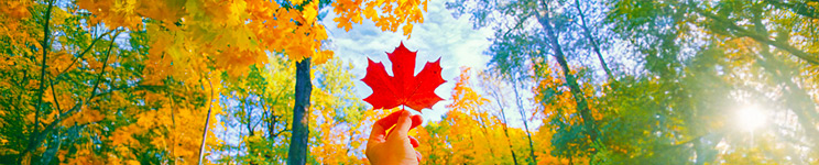 Exploring Canada with MSC Cruises: Destinations, Itineraries, Tips