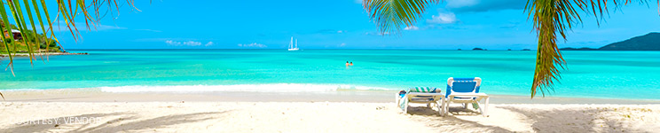 Discover Bimini: Your Next Bahamas Cruise Destination