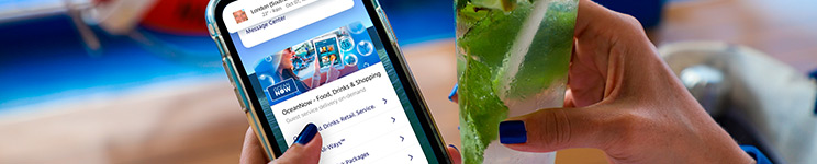 Princess Cruises WiFi Packages