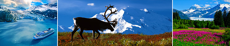 Everything You Need to Know About Alaska Cruises