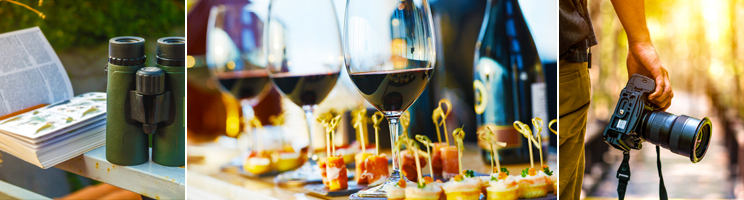 UnCruise Adventures Announces 2020 Theme Cruise Schedule