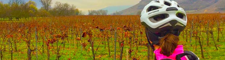 AmaStella Cruise Ship Review