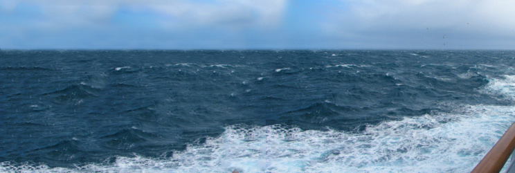 Cruise Review: My Silversea Antarctica Cruise Journey: Day 2