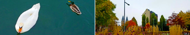 Koblenz: The Rhine’s Fortress