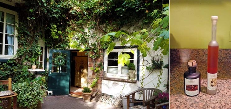 Speyer and Vinegar Tasting