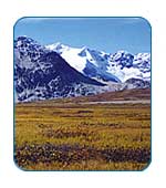 Kluane National Park