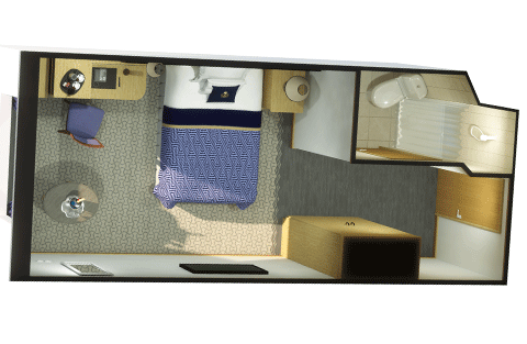 Single Ocean View Stateroom