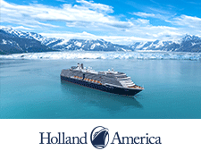 Partner of the Month