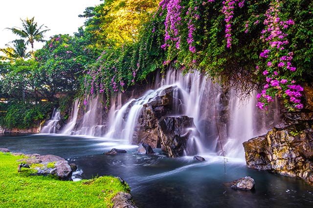 17 Night Circle Hawaii Cruise