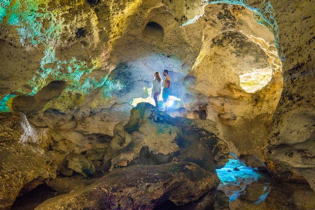 8 Night Southeast Coast and Bahamas Cruise