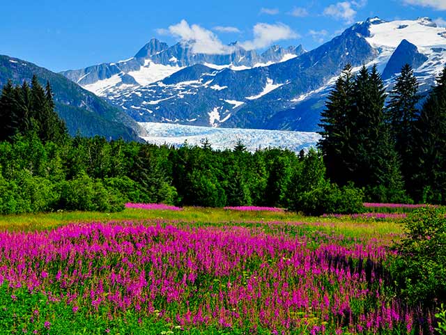 Elevate Your Journey