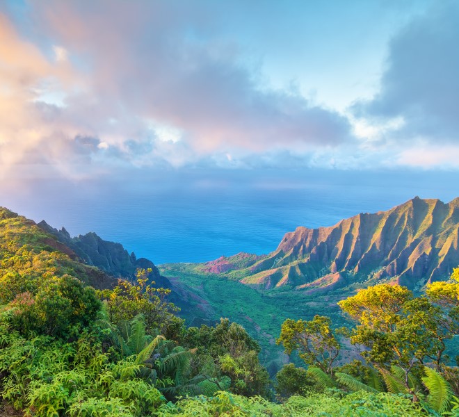 30 Night Circle Hawaii and Sea of Cortez Cruise