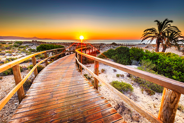 14 Night Transatlantic from Port Canaveral (Orlando) Cruise