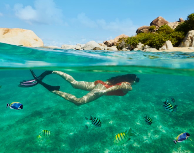7 Night Caribbean Cruise