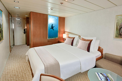 National Geographic Gemini  - Category 2S - Cabin # 401