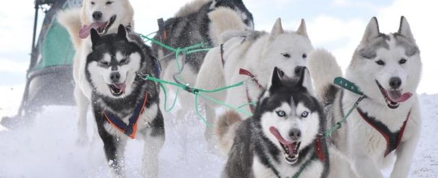 Fairbanks Driving Directions