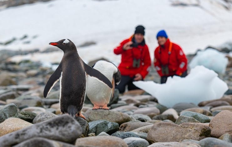 Expedition Cruises