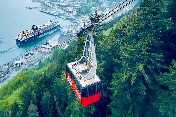 Cruise & Land Options