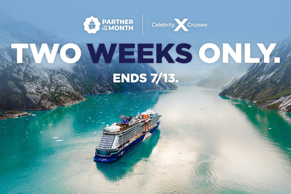 Partner of the Month