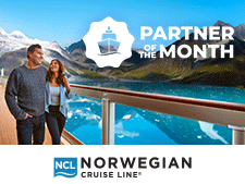 Partner of the Month