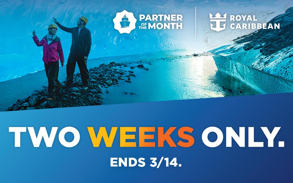 Partner of the Month