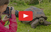 Galápagos Islands River Cruises | Avalon Waterway